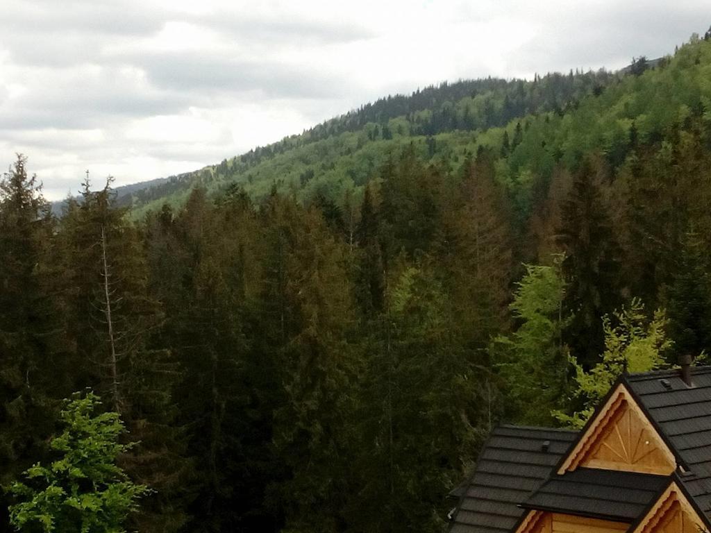 Apartament Palisander Kościelisko Exterior foto